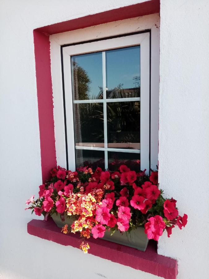 B&B The Red Door Cottage Donegal Town Exteriör bild